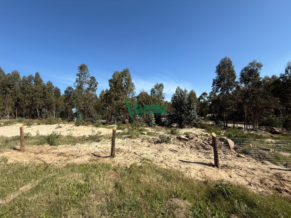 Terreno ID.23184 - Gran terreno sobre la ruta en Araminda Sur