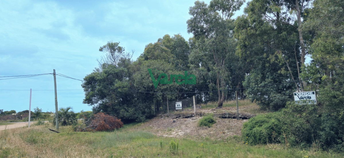 Terreno ID.22480 - Terreno frente a la playa en Bello Horizonte Canelones