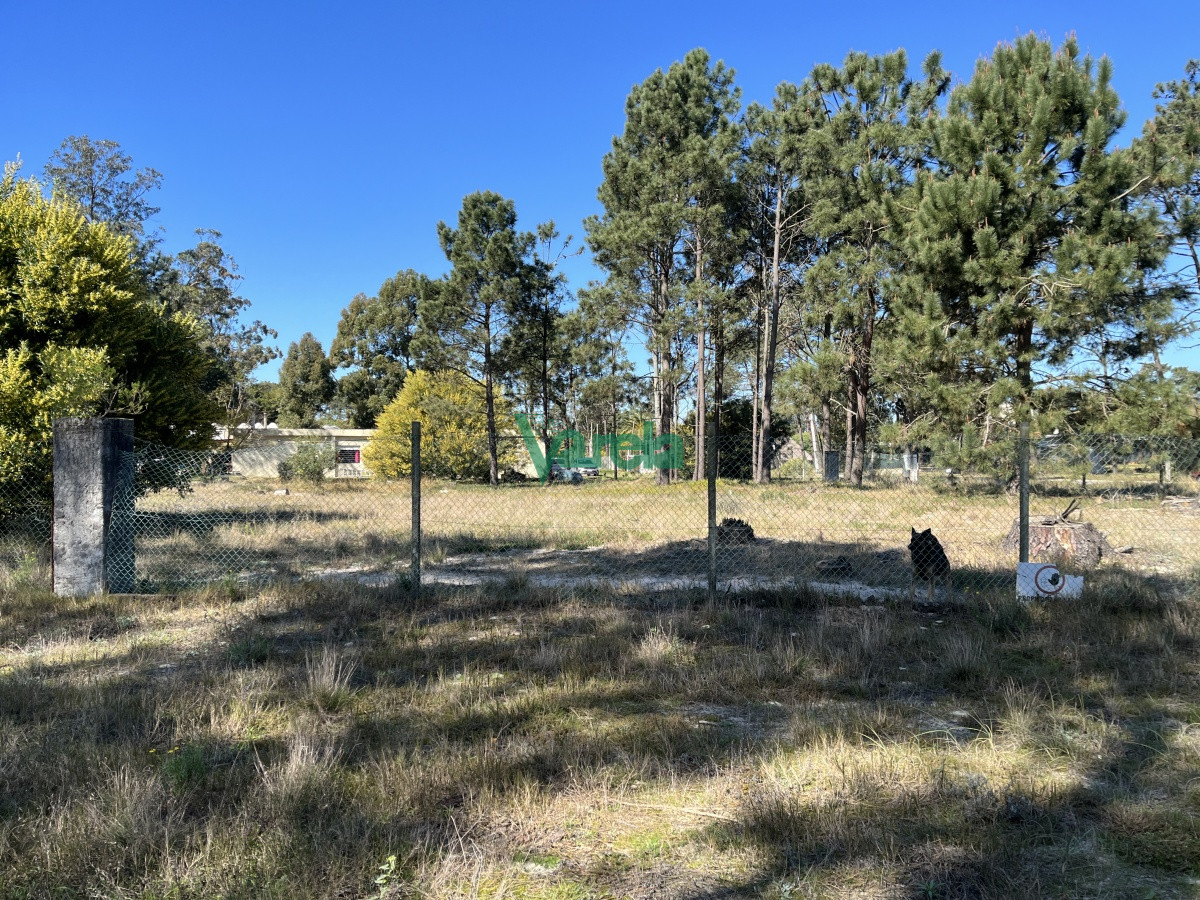 Terreno ID.21035 -  Terreno de 5608 m2 Pinar Sur , en venta .