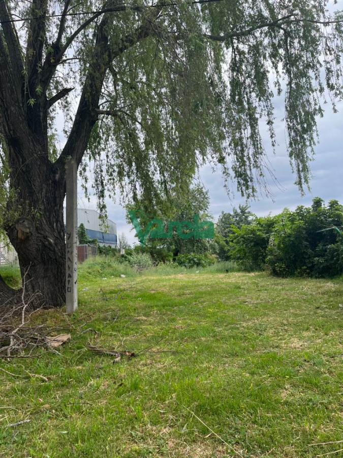 Terreno ID.22008 - Venta terreno, Malvín Norte, 789 m2, ideal constructores