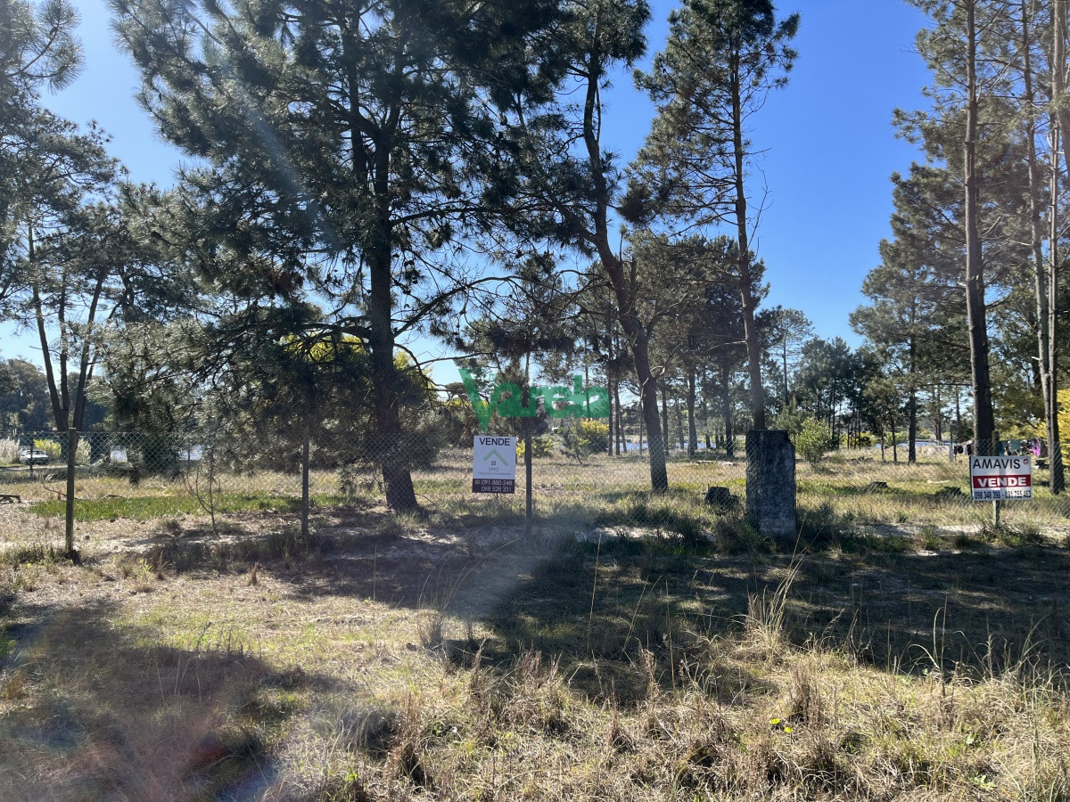 Terreno ID.21035 -  Terreno de 5608 m2 Pinar Sur , en venta .