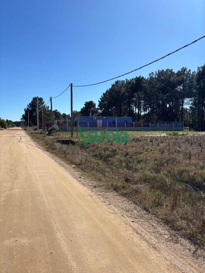 Terreno ID.22754 - Venta Terrenos El Pinar al sur de Interbalnearia 