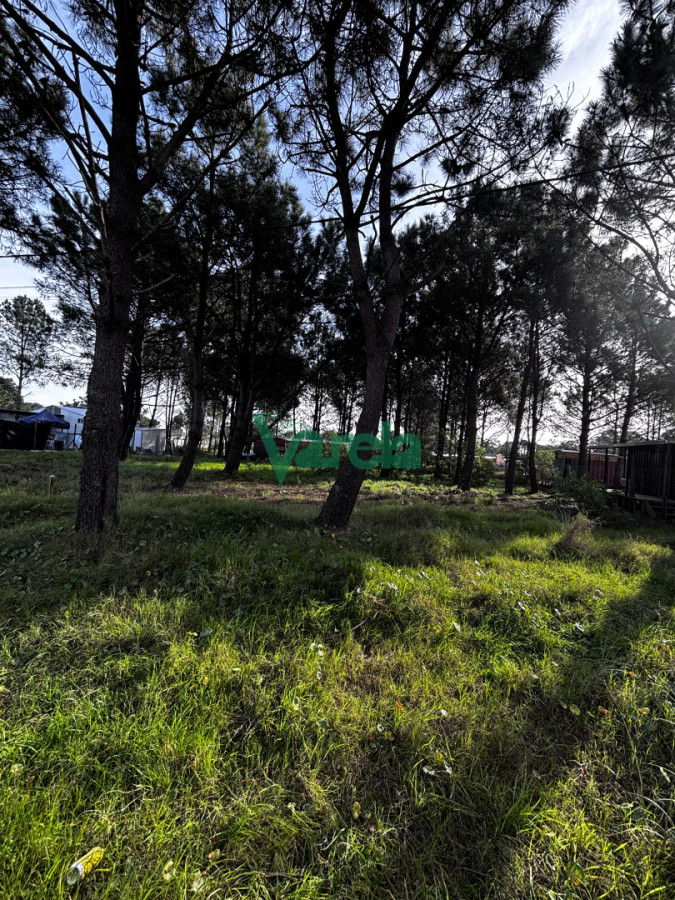 Terreno ID.23137 - Varela Vende Terrenos financiados !!