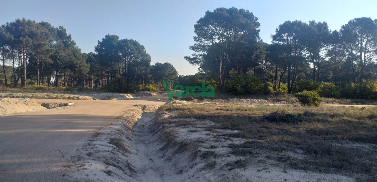 Terreno ID.21824 - Terrenos en venta a pura cuota en Montes de Solymar, nuevo fraccionamiento