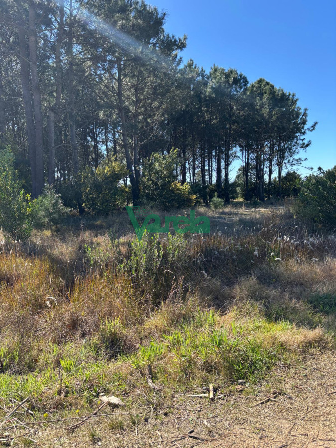 Terreno ID.22754 - Venta Terrenos El Pinar al sur de Interbalnearia 