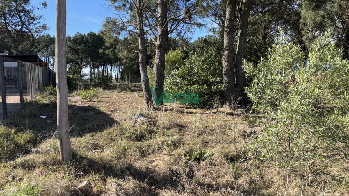 Terreno ID.22455 - Terreno , Proximos a Giannattasio 