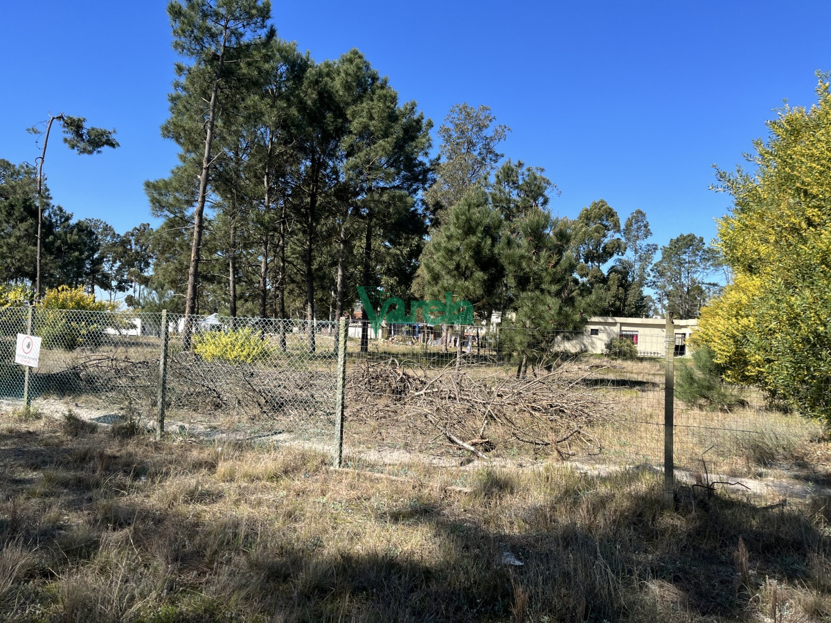 Terreno ID.21035 -  Terreno de 5608 m2 Pinar Sur , en venta .
