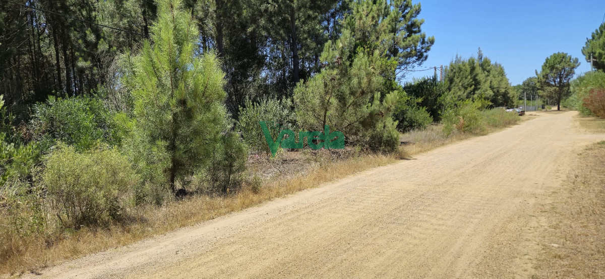 Terreno ID.22513 - Terreno en Balnearios, Guazuvira Nuevo