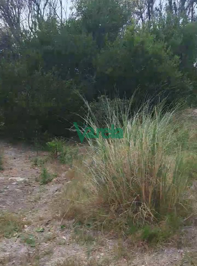 Terreno ID.22105 - Terreno en venta, Jaureguiberry a metros de playa 