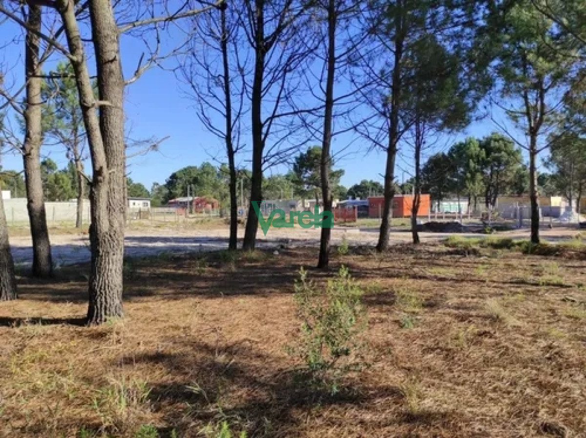 Terreno ID.21155 - Terrenos financiados a pura cuota próx Giannattasio - Suc Solymar 