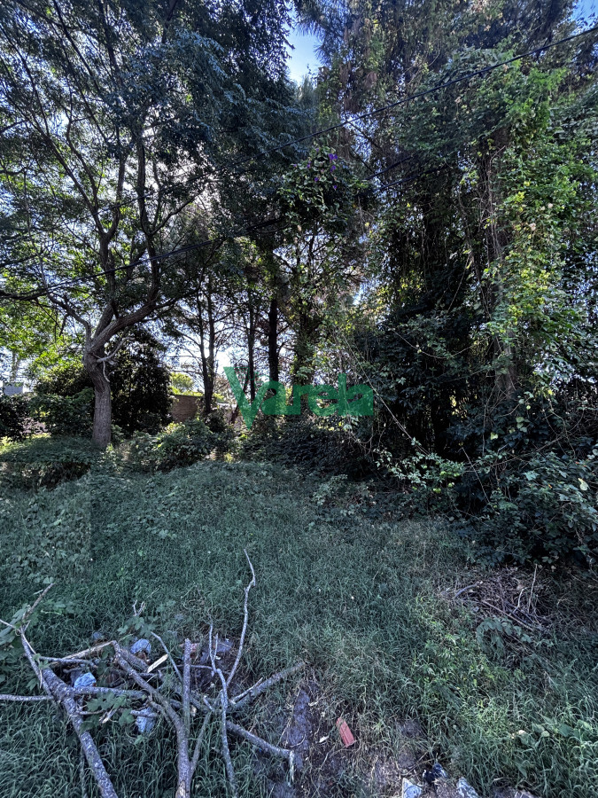 Terreno ID.22535 - Terreno en venta  El Pinar Sur. 