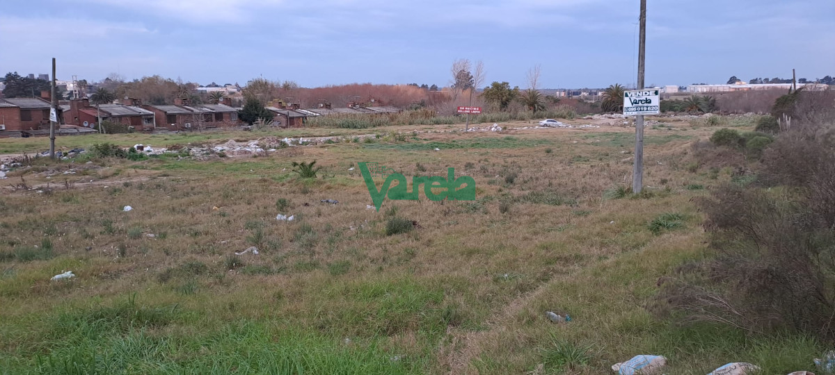 Terreno ID.22207 - Terreno en Pando - ideal viviendas, barrio privado, club deportivo o para parcelar