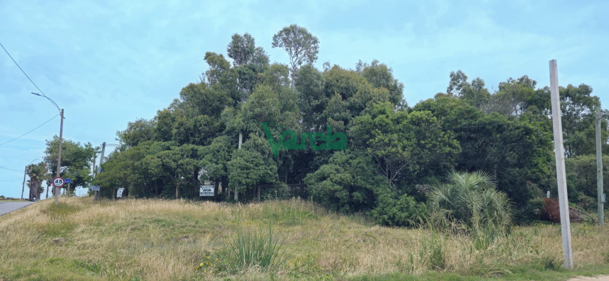 Terreno ID.22480 - Terreno frente a la playa en Bello Horizonte Canelones