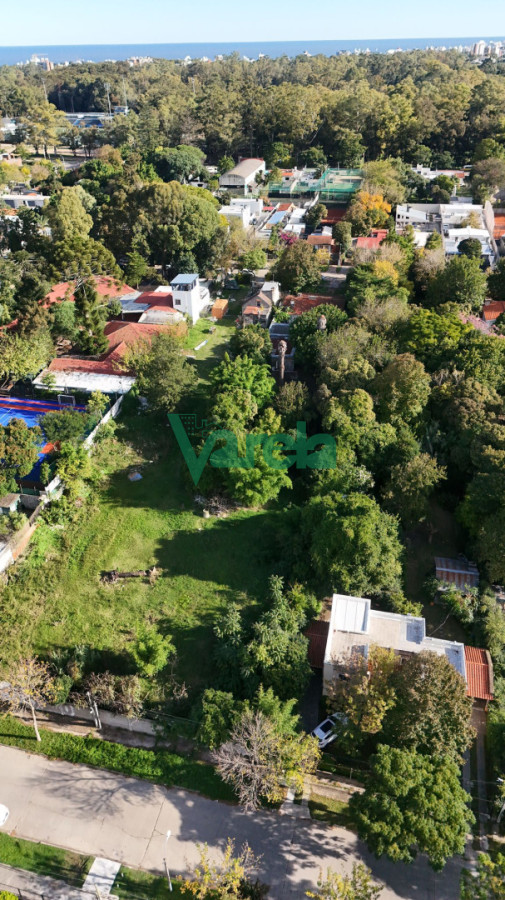 Terreno ID.23033 - Venta terreno ideal edificio casas Carrasco 