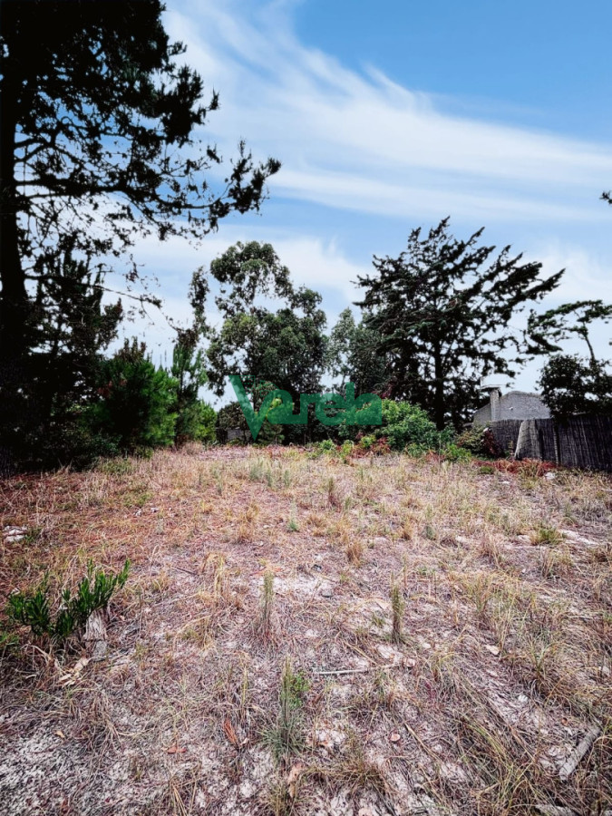 Terreno ID.22922 - Terreno en venta Pinar sur 892 m2