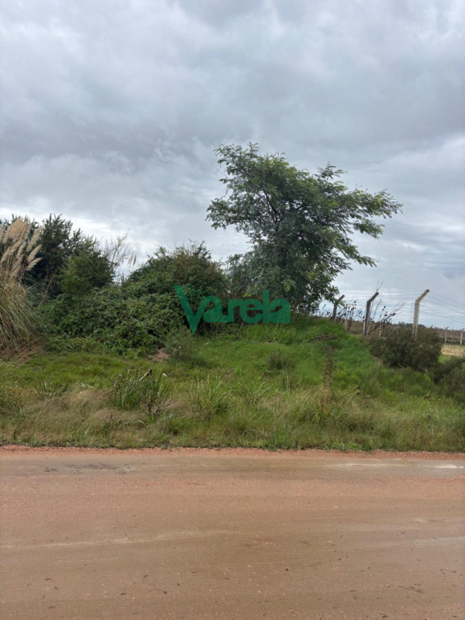 Terreno ID.23022 - Terrenos próximo a Ruta 101