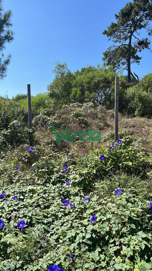 Terreno ID.22519 - Venta terreno 695 mts. sobre Giannattasio 