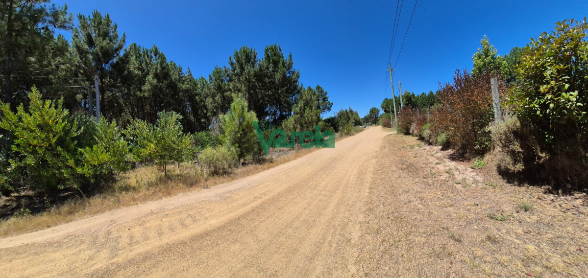 Terreno ID.22513 - Terreno en Balnearios, Guazuvira Nuevo