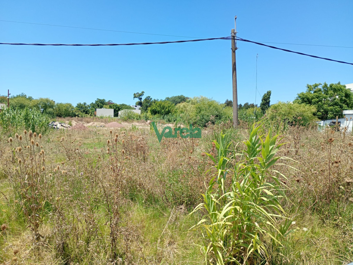 Terreno ID.22900 - Venta Terreno Carrasco norte, zona Portones Schopping, oportunidad unica
