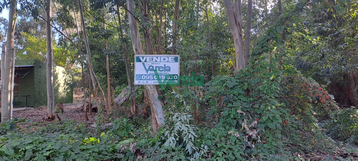 Terreno ID.22162 - Terreno en Santa Ana a 7 cuadras de playa