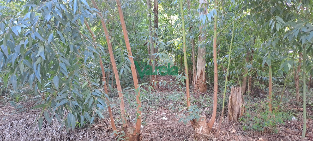 Terreno ID.22162 - Terreno en Santa Ana a 7 cuadras de playa