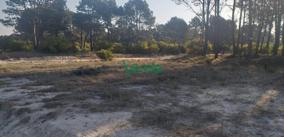 Terreno ID.21824 - Terrenos en venta a pura cuota en Montes de Solymar, nuevo fraccionamiento