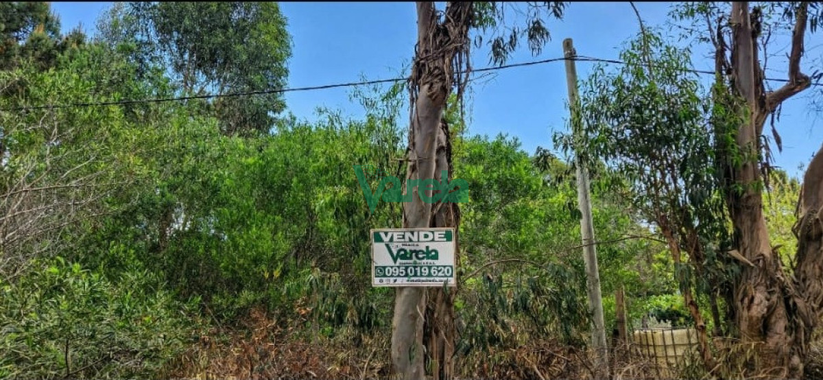 Terreno ID.23202 - Terreno en venta, 540 m2, a mts de la playa, Balneario Argentino