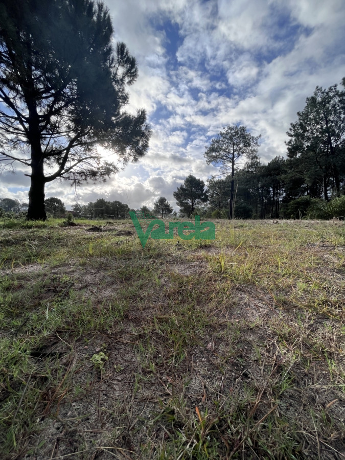 Terreno ID.22163 - Terreno en Venta Lomas 16 ha , 49 m sobre giannattasiio!!
