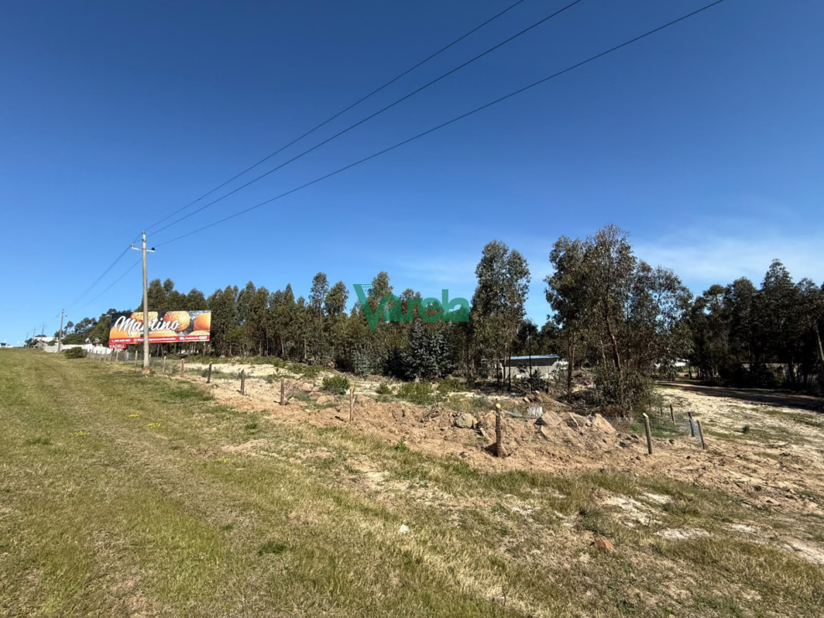 Terreno ID.23184 - Gran terreno sobre la ruta en Araminda Sur