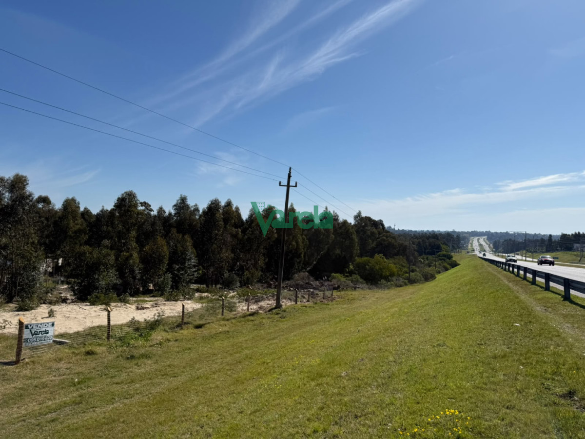 Terreno ID.23184 - Gran terreno sobre la ruta en Araminda Sur
