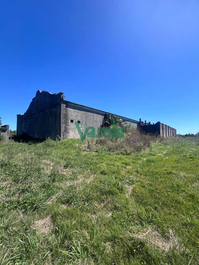 Terreno ID.22559 - Venta Gran Terreno Con Galpon Sobre Mendoza Ideal Inversion Montevideo