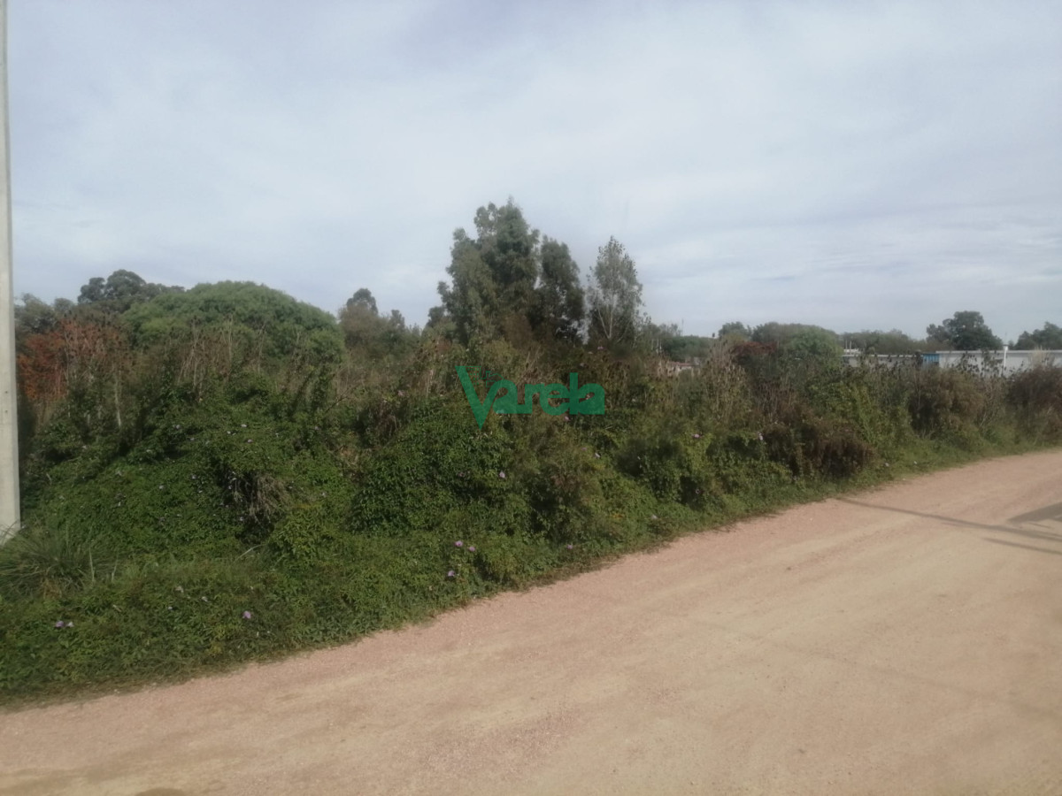 Terreno ID.22295 - Terreno sobre Cno. Los Horneros. Frente a LaTahona