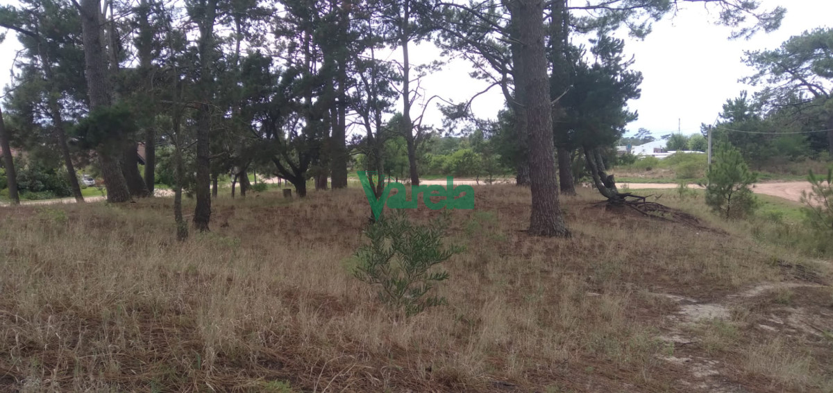 Terreno ID.22455 - Terreno , Proximos a Giannattasio 