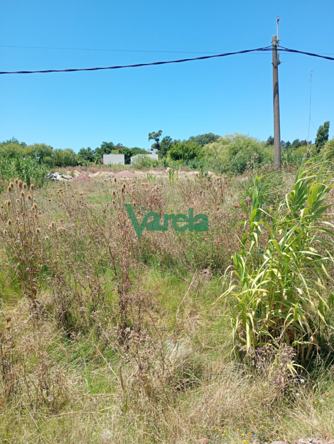 Terreno ID.22900 - Venta Terreno Carrasco norte, zona Portones Schopping, oportunidad unica