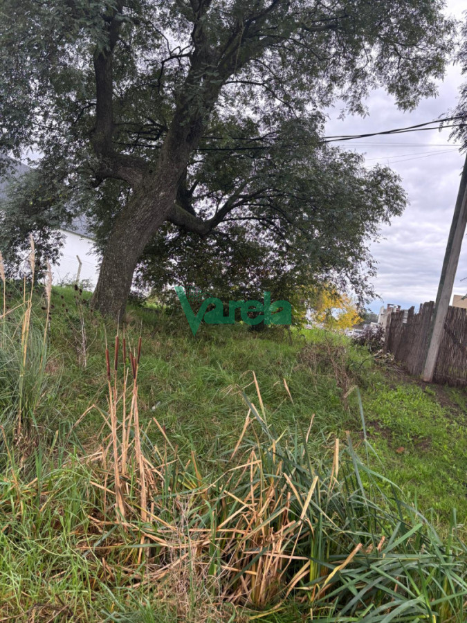 Terreno ID.23022 - Terrenos próximo a Ruta 101