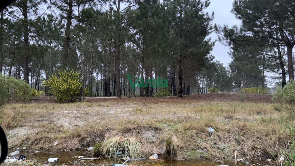 Terreno ID.21155 - Terrenos financiados a pura cuota próx Giannattasio - Suc Solymar 