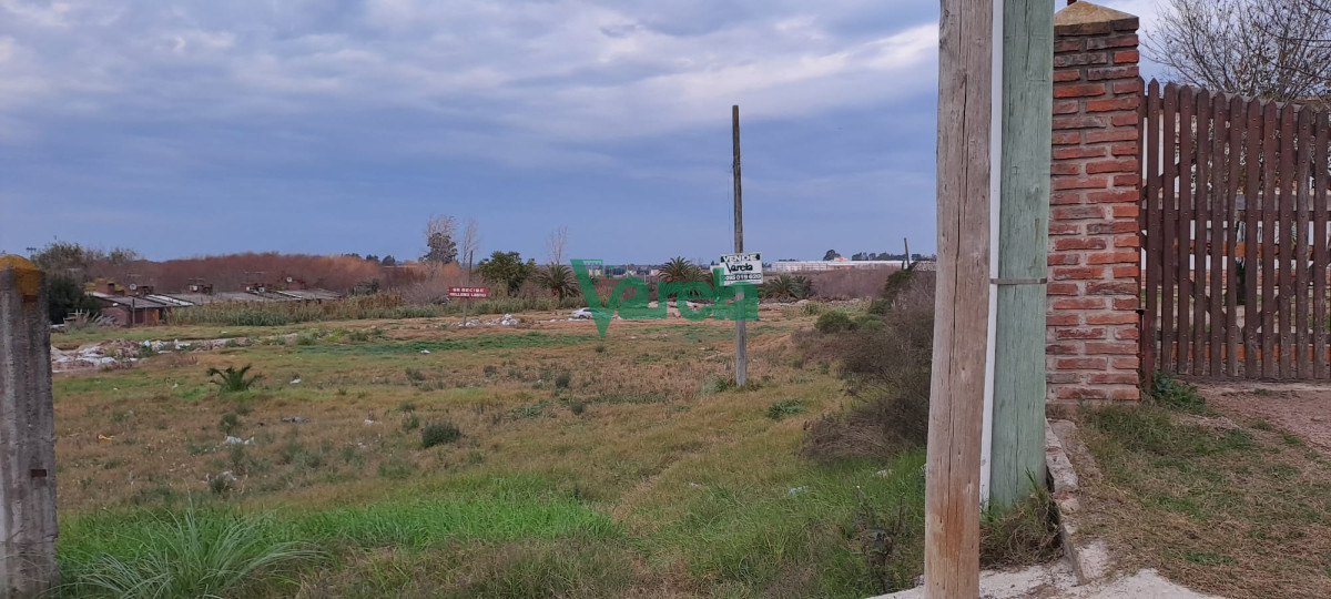 Terreno ID.22207 - Terreno en Pando - ideal viviendas, barrio privado, club deportivo o para parcelar