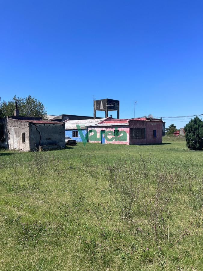 Terreno ID.22559 - Venta Gran Terreno Con Galpon Sobre Mendoza Ideal Inversion Montevideo