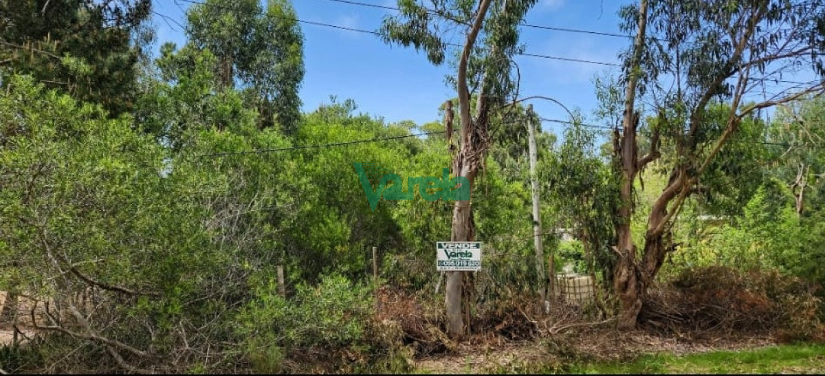 Terreno ID.23202 - Terreno en venta, 540 m2, a mts de la playa, Balneario Argentino
