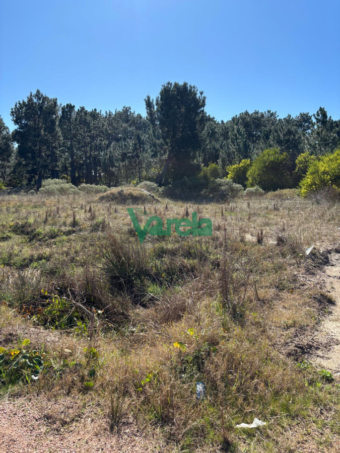 Terreno ID.22754 - Venta Terrenos El Pinar al sur de Interbalnearia 