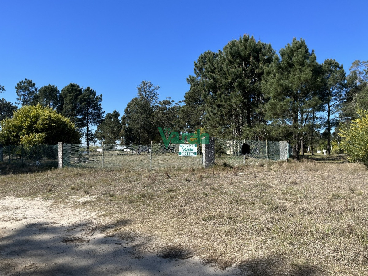 Terreno ID.21035 -  Terreno de 5608 m2 Pinar Sur , en venta .
