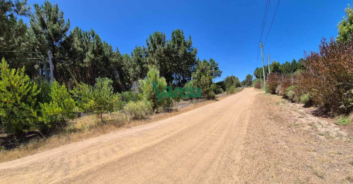 Terreno ID.22513 - Terreno en Balnearios, Guazuvira Nuevo