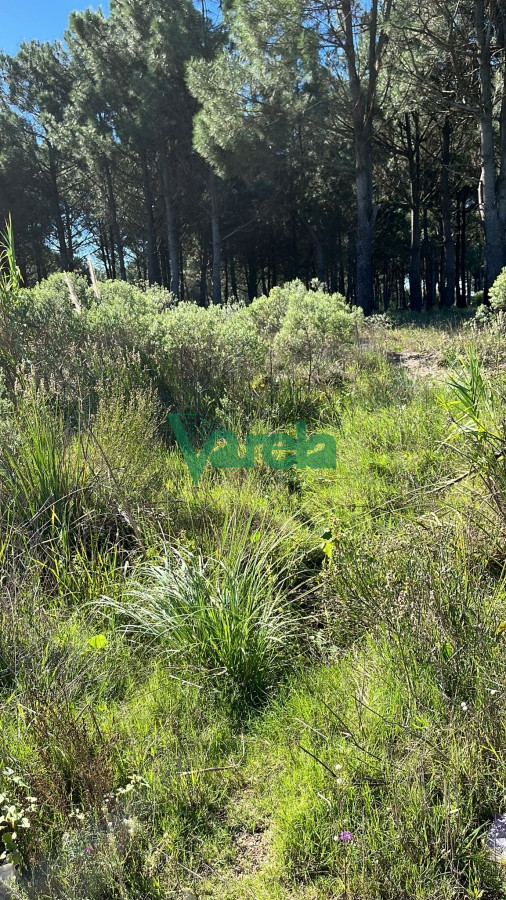 Terreno ID.22134 - Terreno con entrega y cuotas 