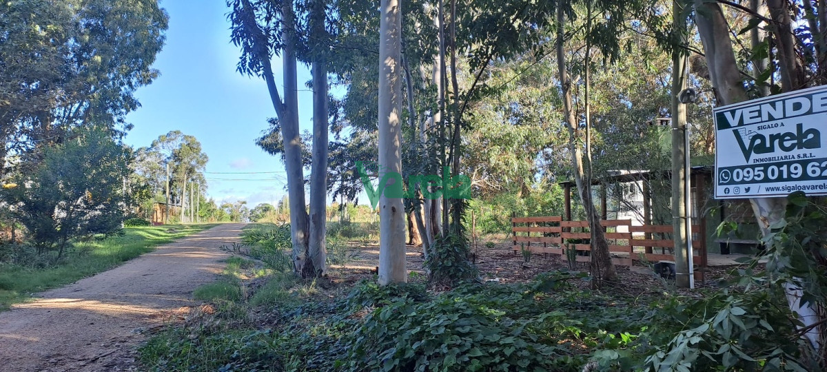 Terreno ID.22162 - Terreno en Santa Ana a 7 cuadras de playa