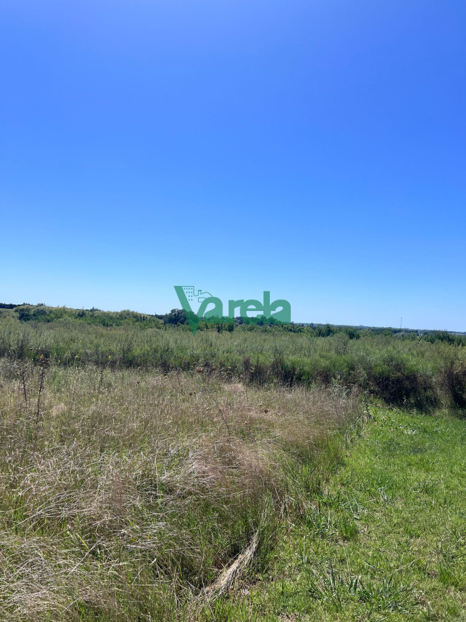 Terreno ID.22559 - Venta Gran Terreno Con Galpon Sobre Mendoza Ideal Inversion Montevideo