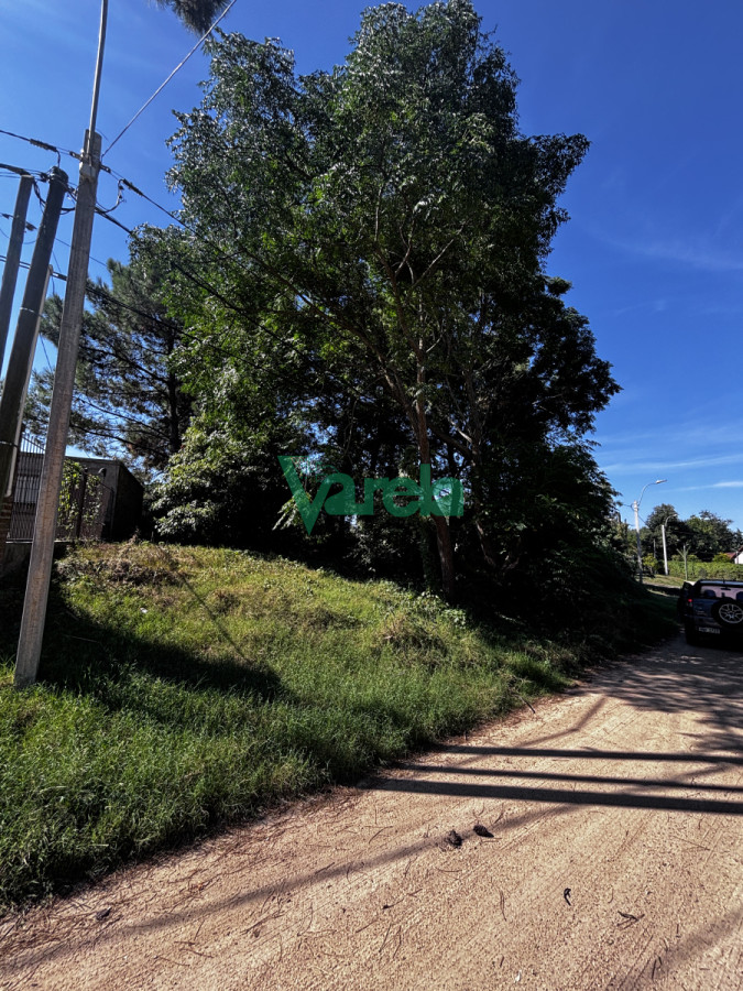 Terreno ID.22535 - Terreno en venta  El Pinar Sur. 