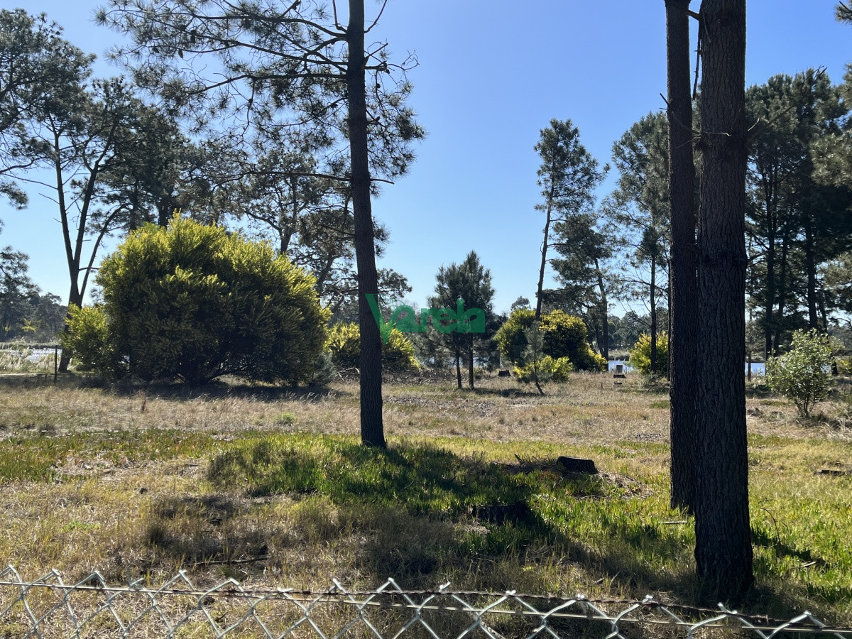 Terreno ID.21035 -  Terreno de 5608 m2 Pinar Sur , en venta .