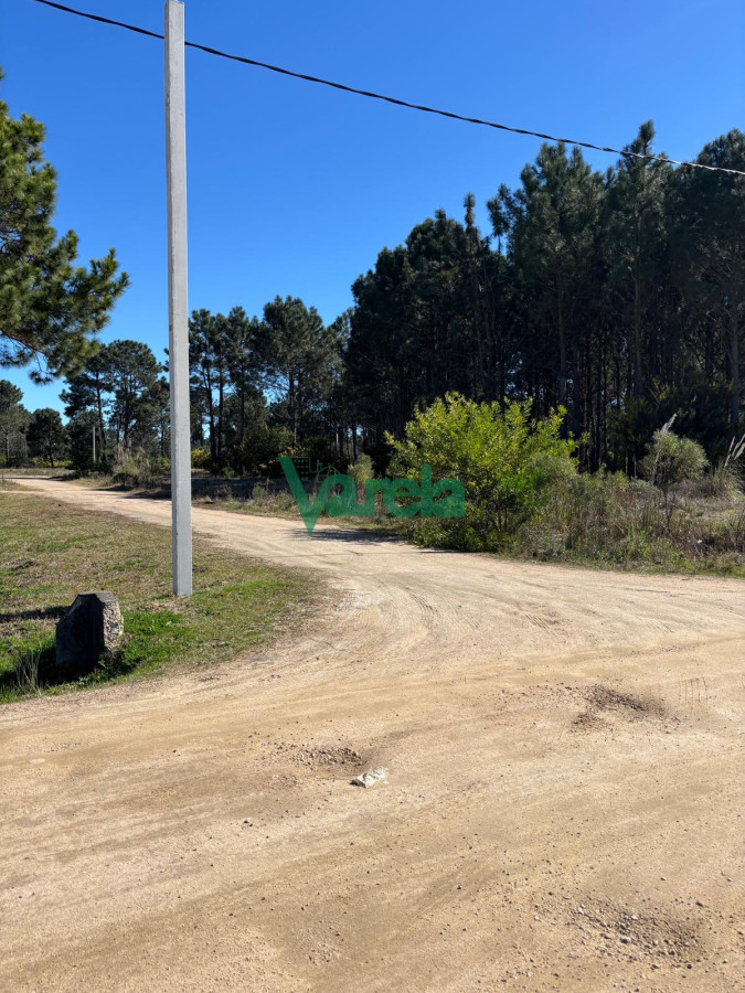 Terreno ID.22754 - Venta Terrenos El Pinar al sur de Interbalnearia 