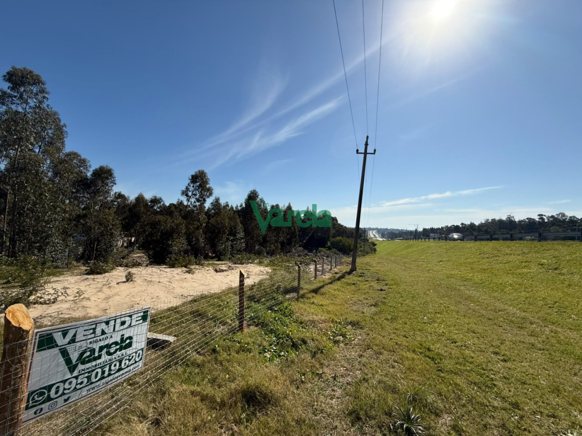 Terreno ID.23184 - Gran terreno sobre la ruta en Araminda Sur