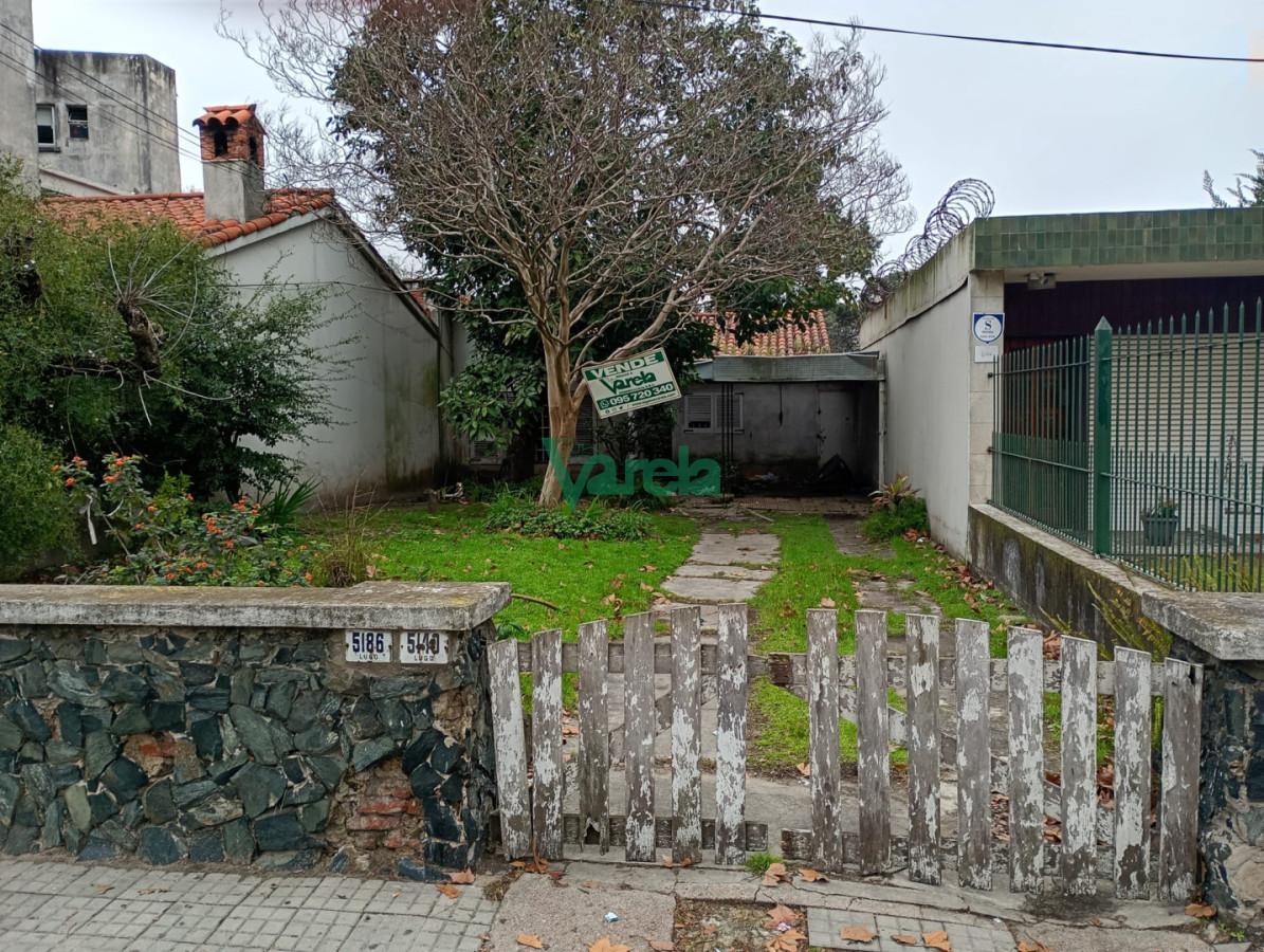 Terreno ID.23141 - Venta Terreno Malvín, espectacular, ideal edificio o super local comercial, sobre Rivera
